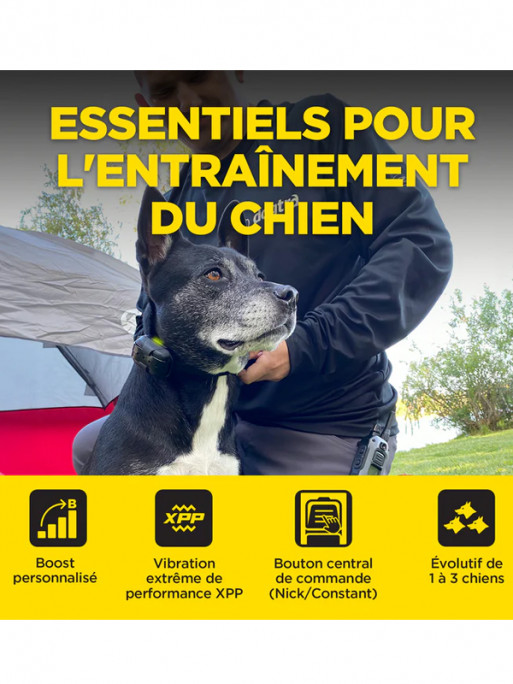 Pack de dressage 640X 1 chien Dogtra