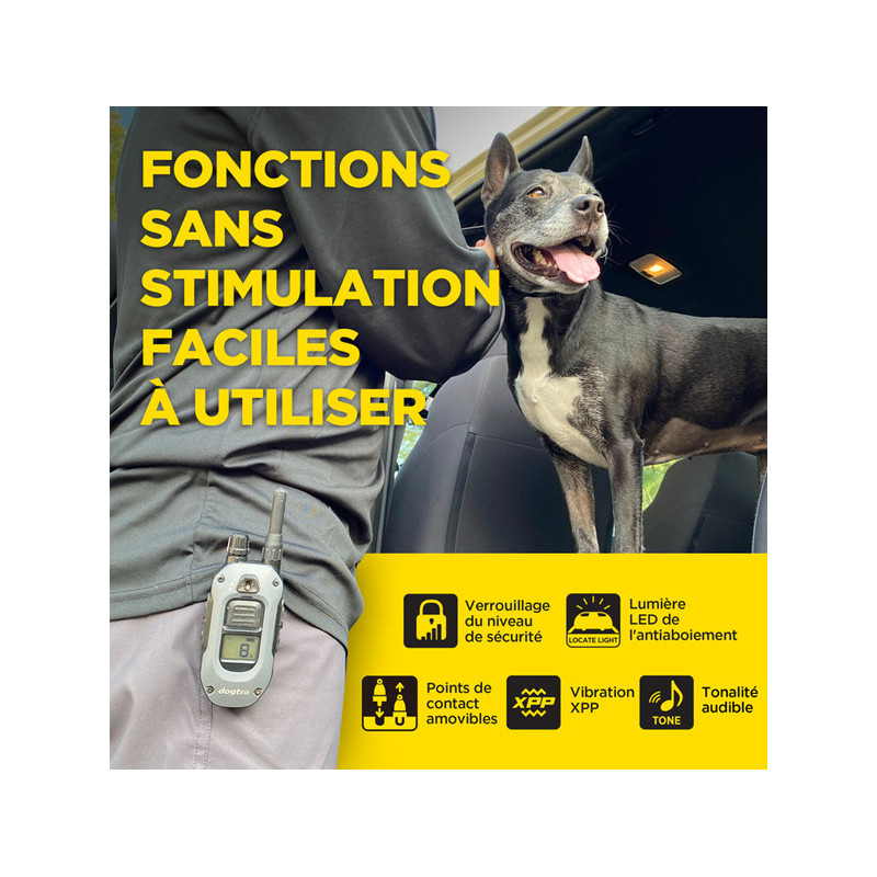 Pack de dressage 640X 1 chien Dogtra