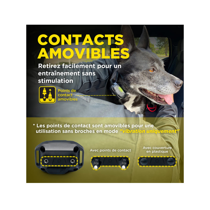 Pack de dressage 640X 1 chien Dogtra
