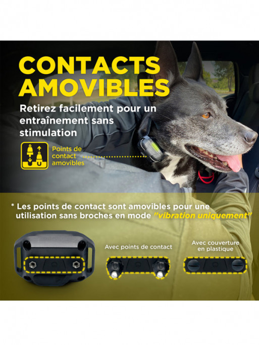 Pack de dressage 640X 1 chien Dogtra