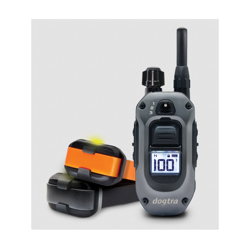 Pack de dressage 640X 2 chiens Dogtra