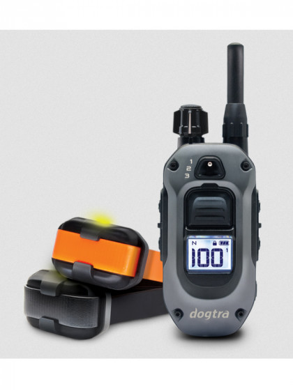 Pack de dressage 640X 2 chiens Dogtra
