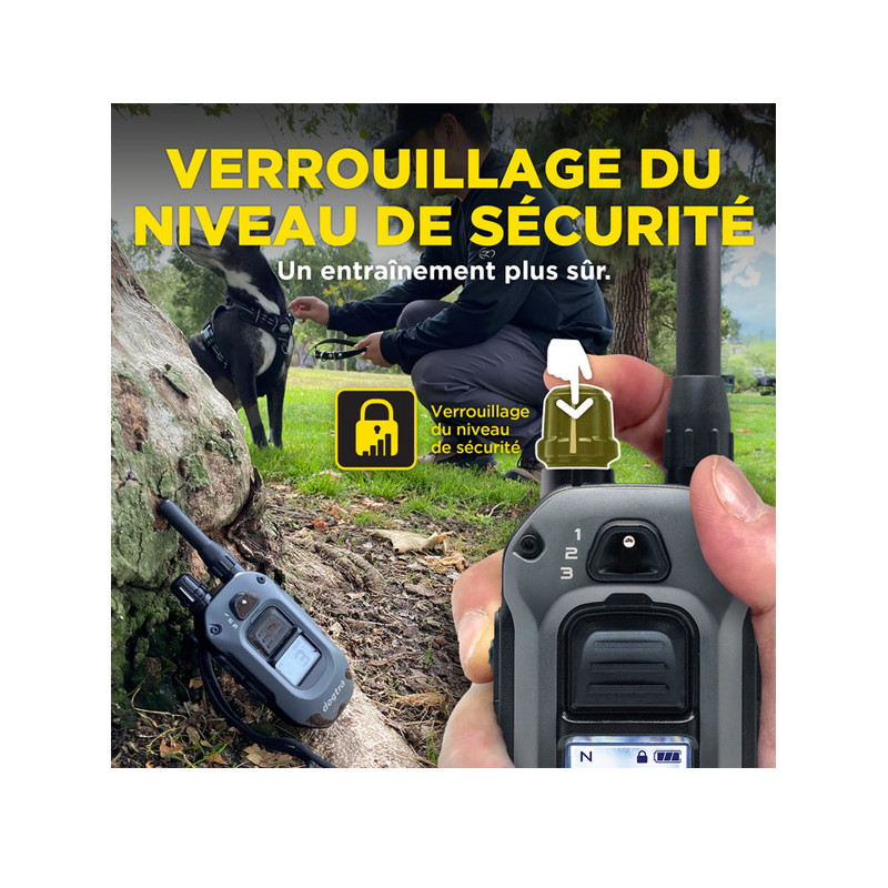 Pack de dressage 640X 2 chiens Dogtra