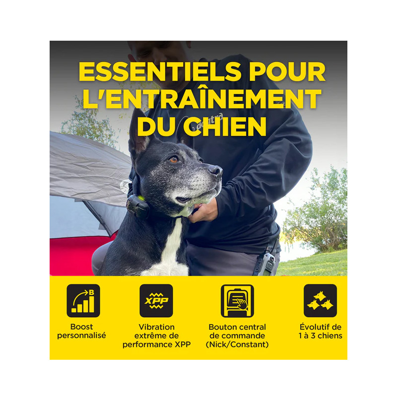 Pack de dressage 640X 2 chiens Dogtra