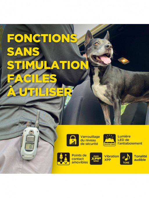 Pack de dressage 640X 2 chiens Dogtra