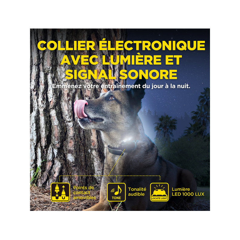 Pack de dressage 640X 2 chiens Dogtra