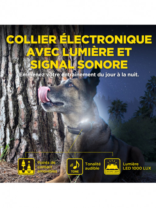 Pack de dressage 640X 2 chiens Dogtra