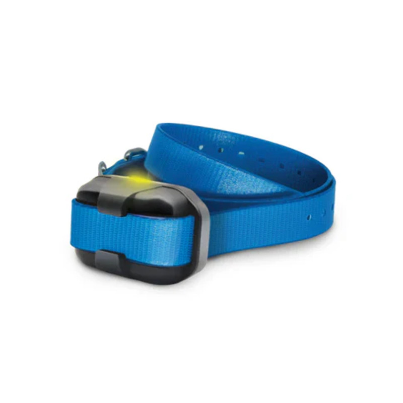 Pack de dressage 640X 1 chien Dogtra