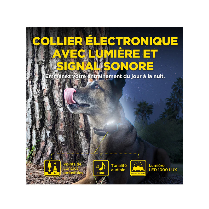 Pack de dressage 640X 1 chien Dogtra