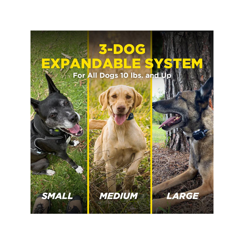 Pack de dressage 640X 1 chien Dogtra