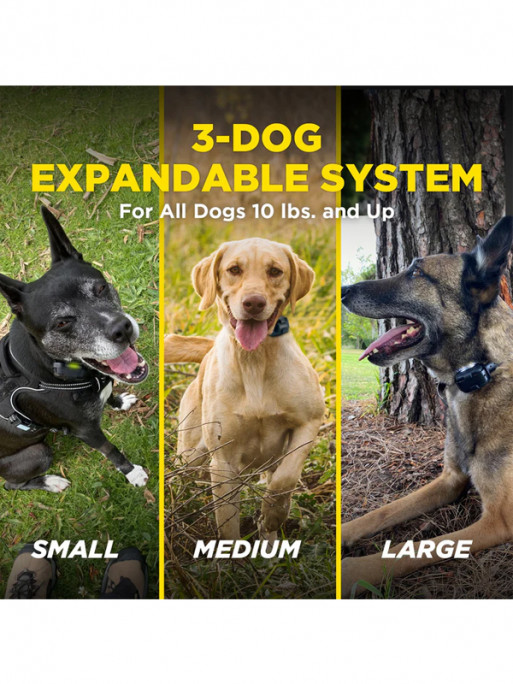 Pack de dressage 640X 1 chien Dogtra