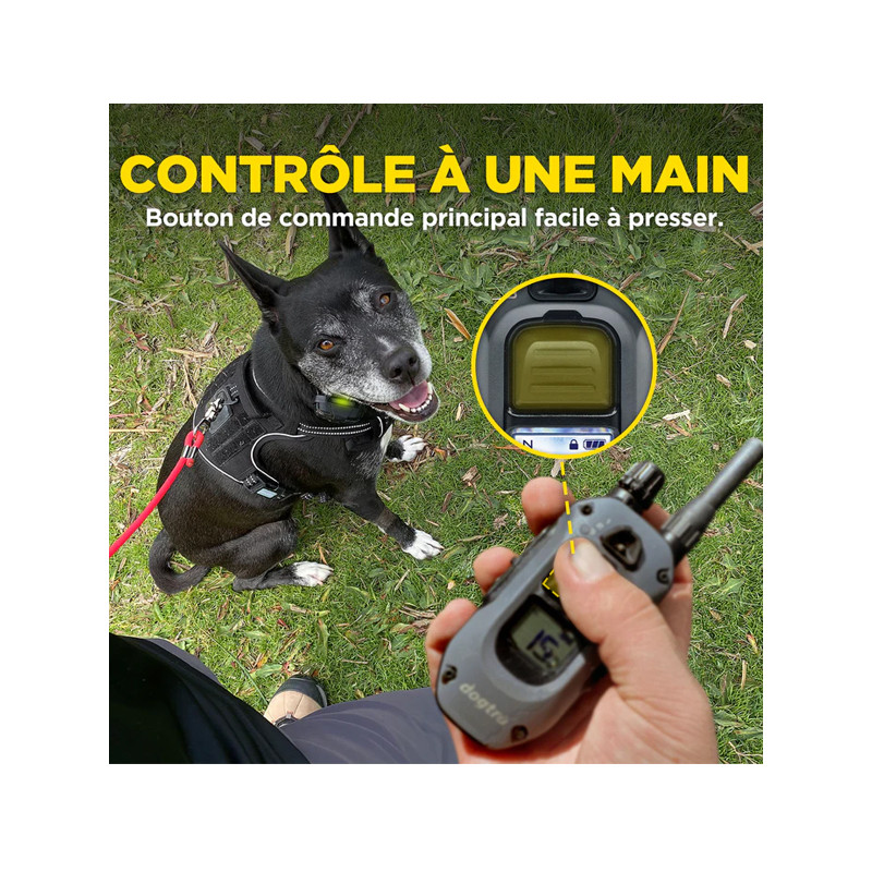 Emetteur X1 pour 640X Dogtra