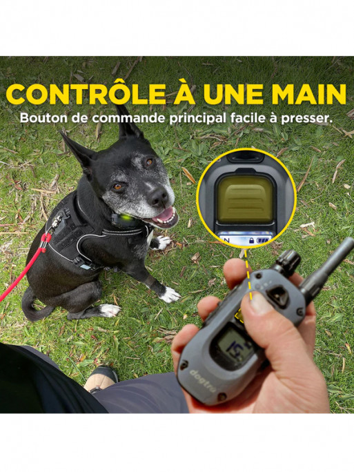 Emetteur X1 pour 640X Dogtra