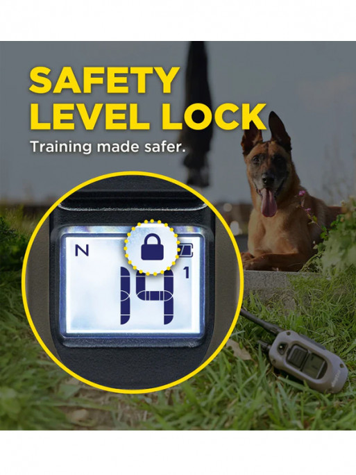 Pack de dressage ARC-X 1 chien Dogtra