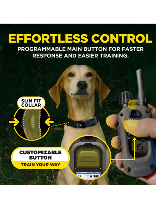 Pack de dressage ARC-X 1 chien Dogtra