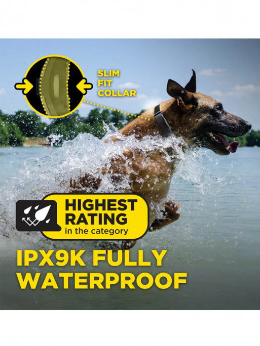 Pack de dressage ARC-X 1 chien Dogtra