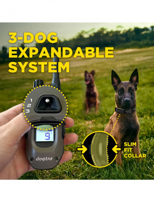 Pack de dressage ARC-X 1 chien Dogtra