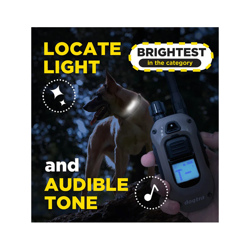 Pack de dressage ARC-X 1 chien Dogtra