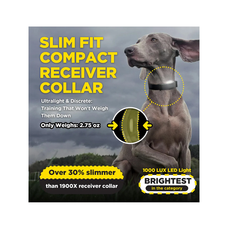 Pack de dressage ARC-X 1 chien Dogtra