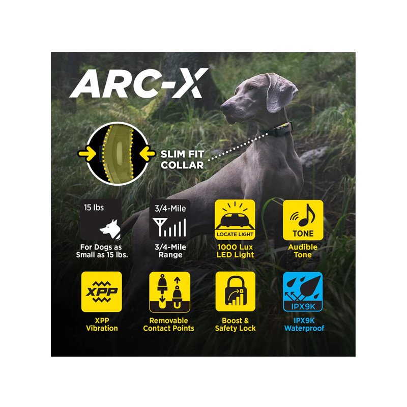 Pack de dressage ARC-X 1 chien Dogtra