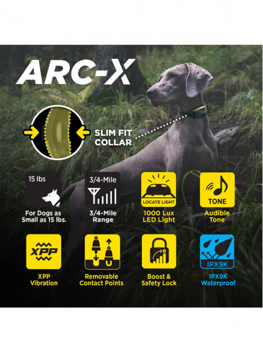 Pack de dressage ARC-X 1 chien Dogtra