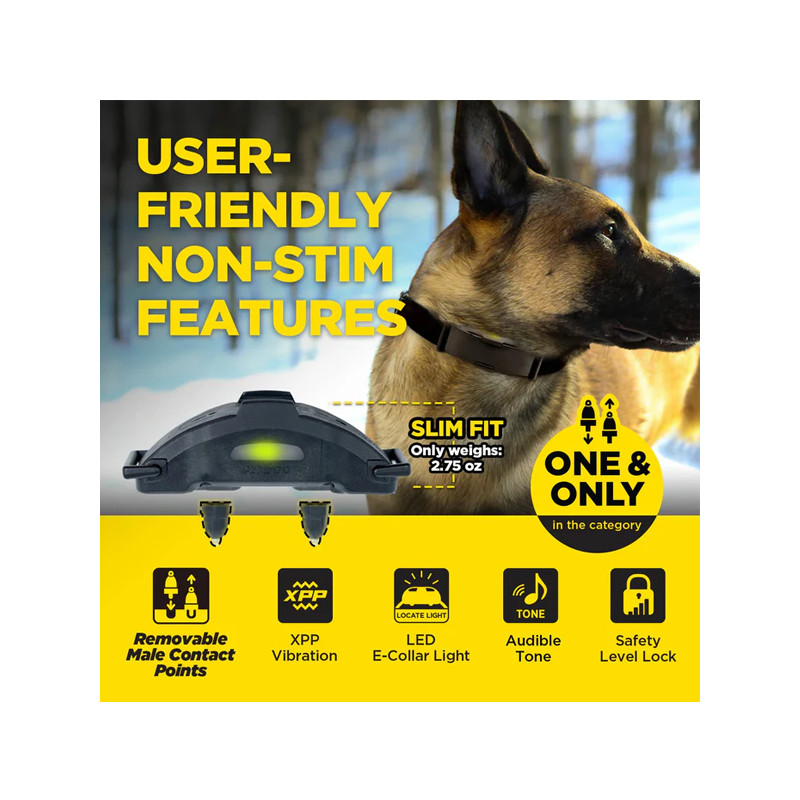 Pack de dressage ARC-X 1 chien Dogtra