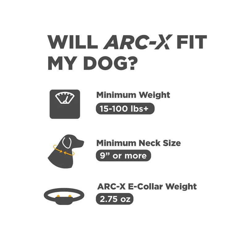 Pack de dressage ARC-X 1 chien Dogtra