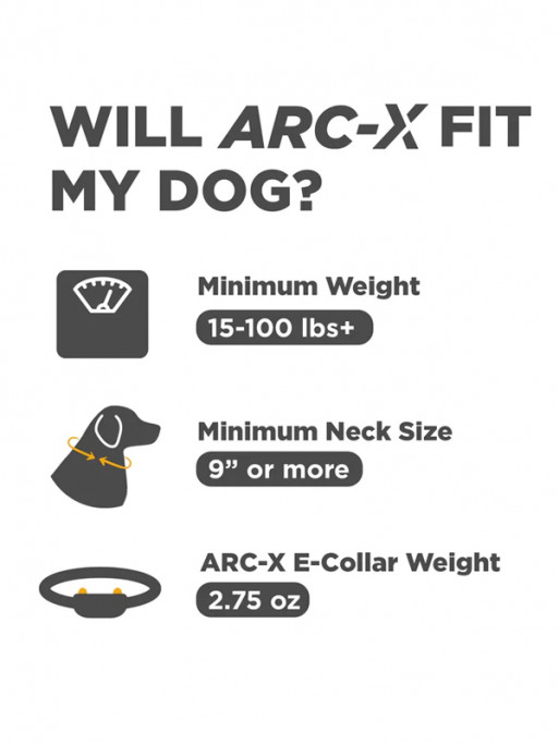 Pack de dressage ARC-X 1 chien Dogtra