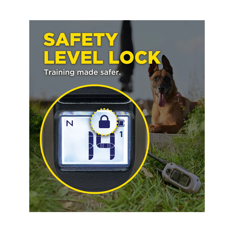 Pack de dressage ARC-X 2 chiens Dogtra