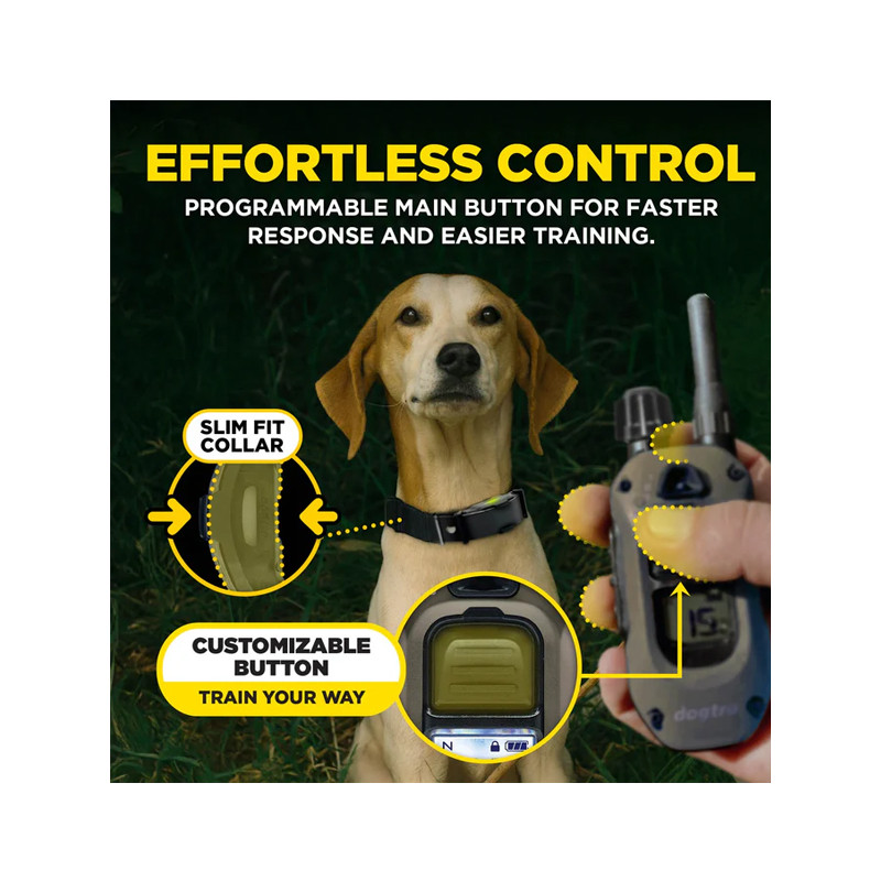 Pack de dressage ARC-X 2 chiens Dogtra