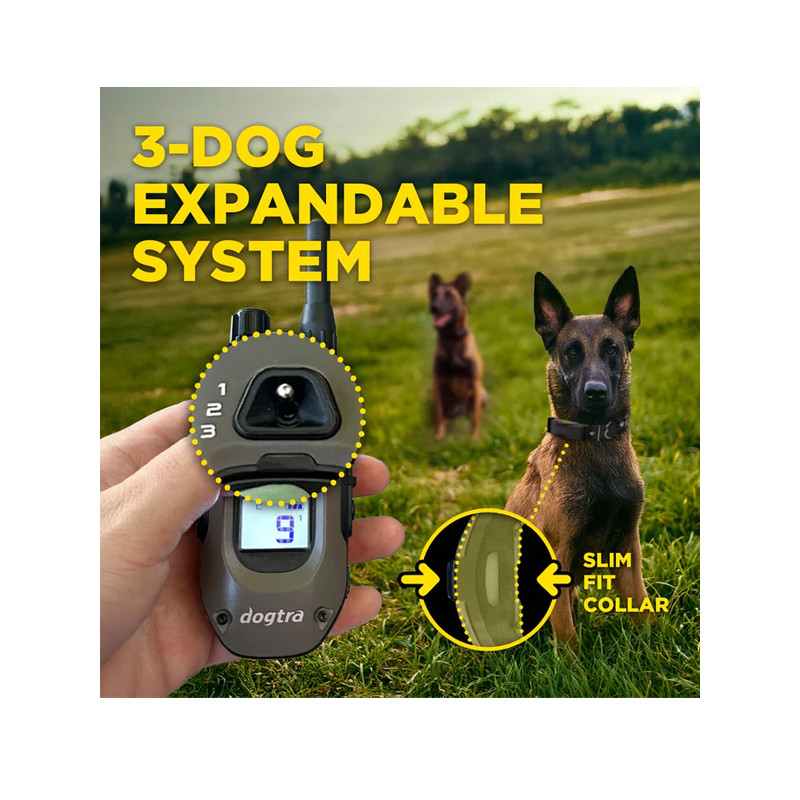 Pack de dressage ARC-X 2 chiens Dogtra