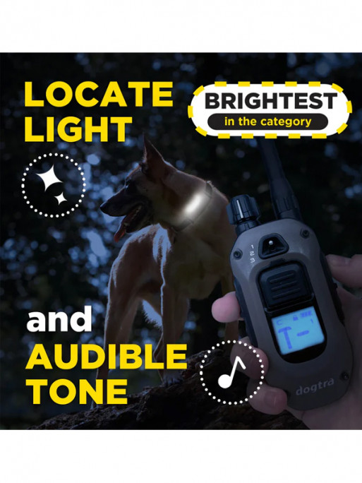 Pack de dressage ARC-X 2 chiens Dogtra