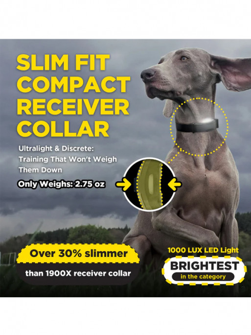 Pack de dressage ARC-X 2 chiens Dogtra