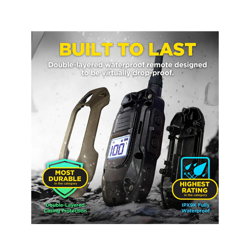 Pack de dressage ARC-X 2 chiens Dogtra