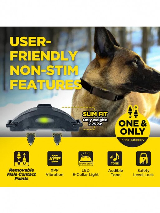 Pack de dressage ARC-X 2 chiens Dogtra