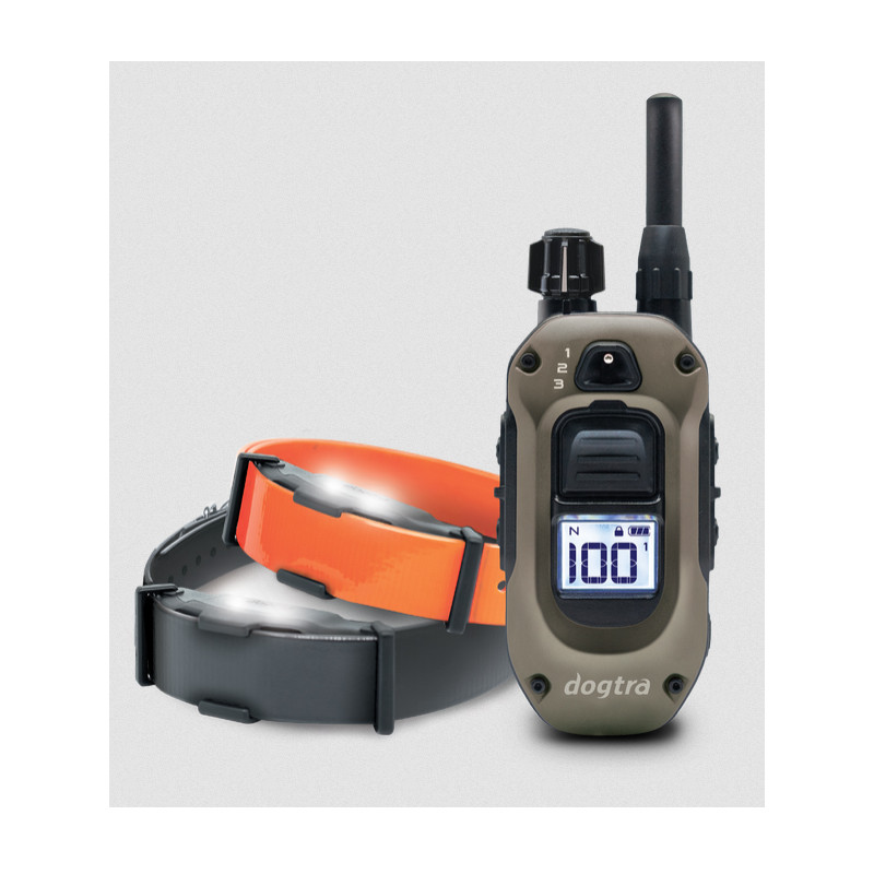 Pack de dressage ARC-X 2 chiens Dogtra