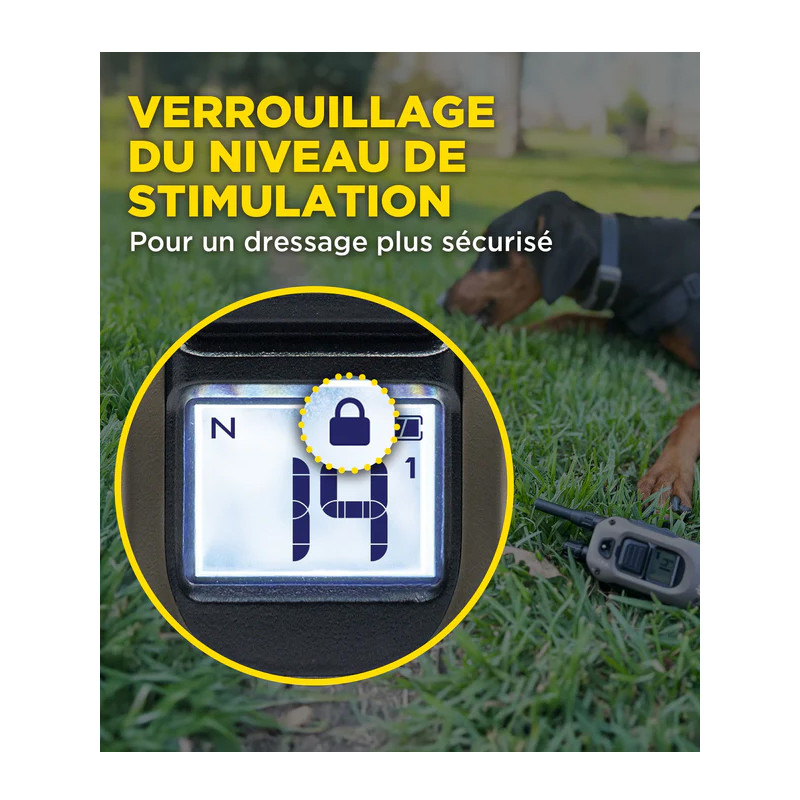 Emetteur X2 pour 1200X et ARC-X Dogtra