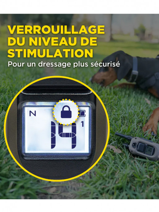 Emetteur X2 pour 1200X et ARC-X Dogtra