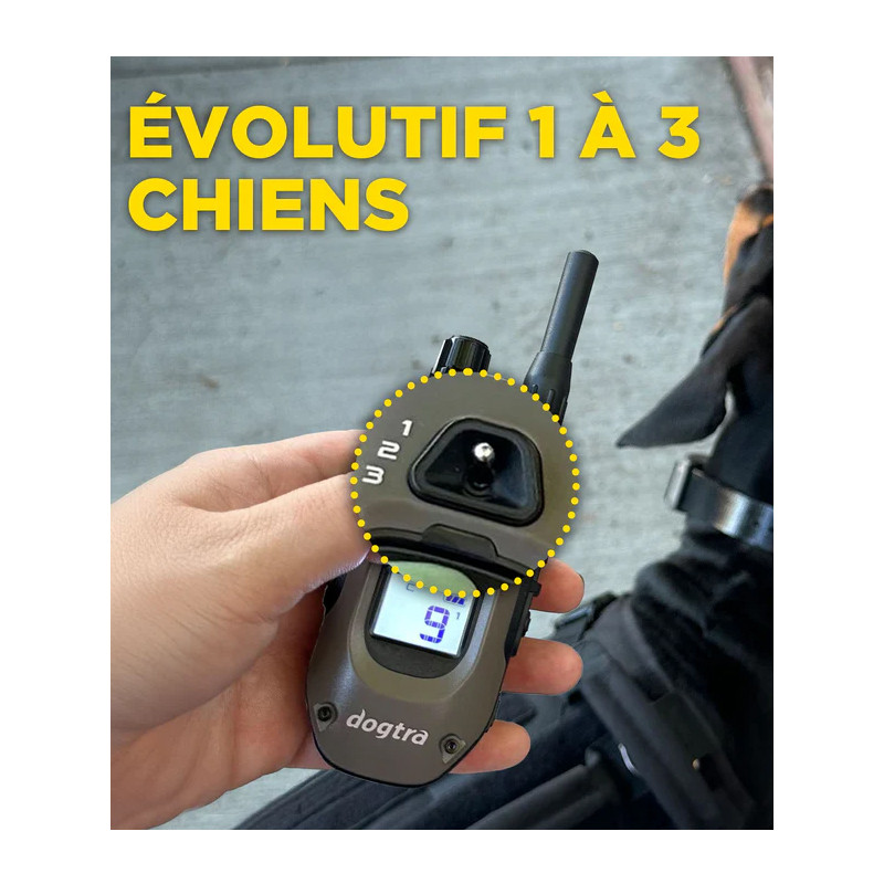 Emetteur X2 pour 1200X et ARC-X Dogtra