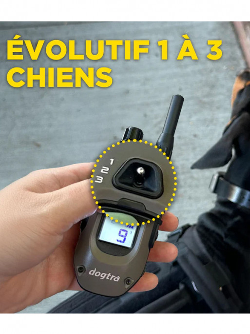 Emetteur X2 pour 1200X et ARC-X Dogtra