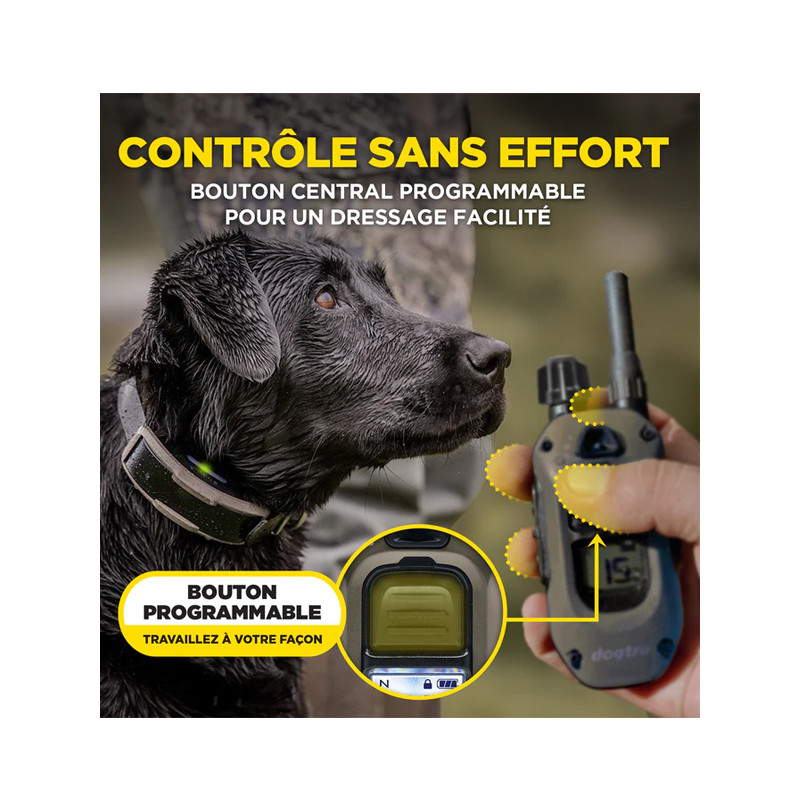 Emetteur X2 pour 1200X et ARC-X Dogtra