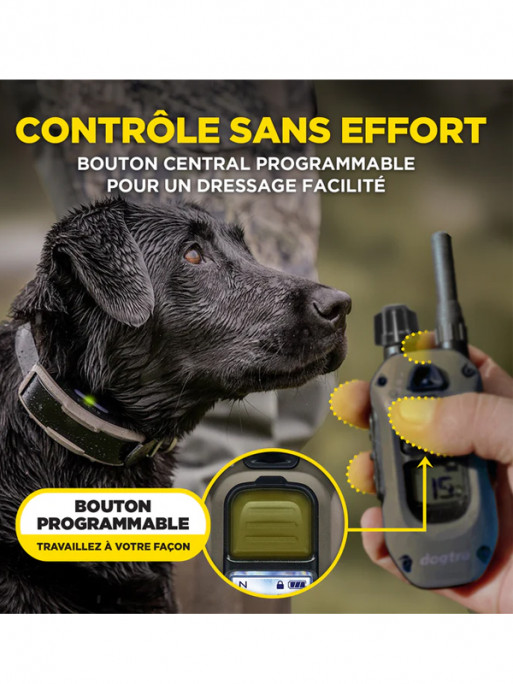 Emetteur X2 pour 1200X et ARC-X Dogtra