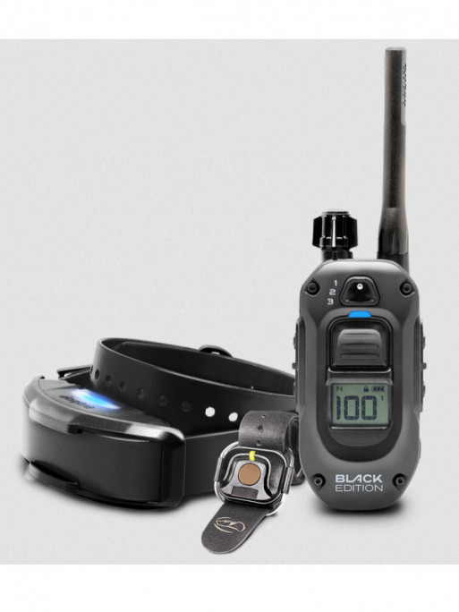 Pack de dressage 1200X Black Edition 1 chien Dogtra