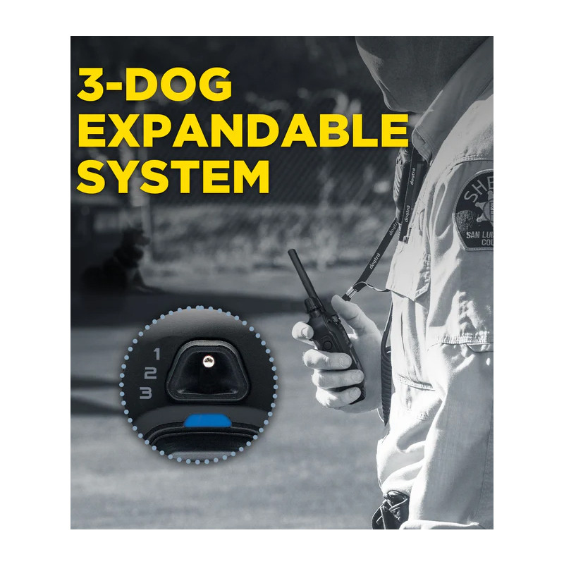 Pack de dressage 1200X Black Edition 1 chien Dogtra