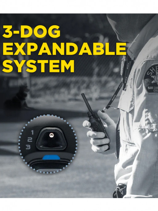 Pack de dressage 1200X Black Edition 1 chien Dogtra