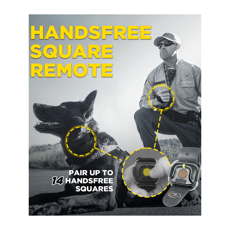 Pack de dressage 1200X Black Edition 1 chien Dogtra