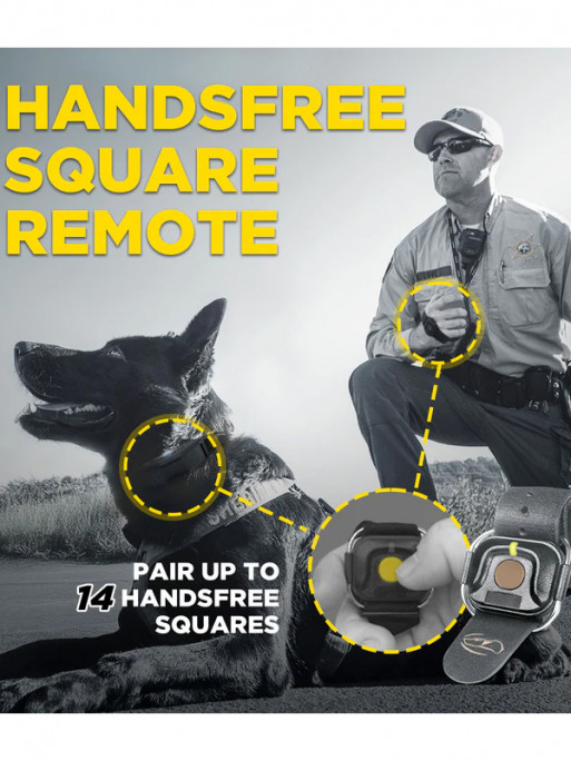 Pack de dressage 1200X Black Edition 1 chien Dogtra