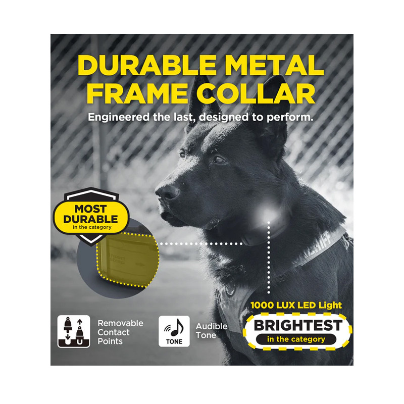 Pack de dressage 1200X Black Edition 1 chien Dogtra