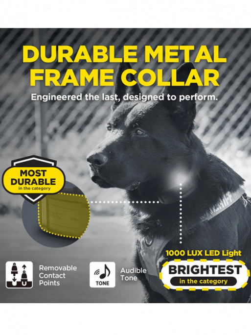 Pack de dressage 1200X Black Edition 1 chien Dogtra