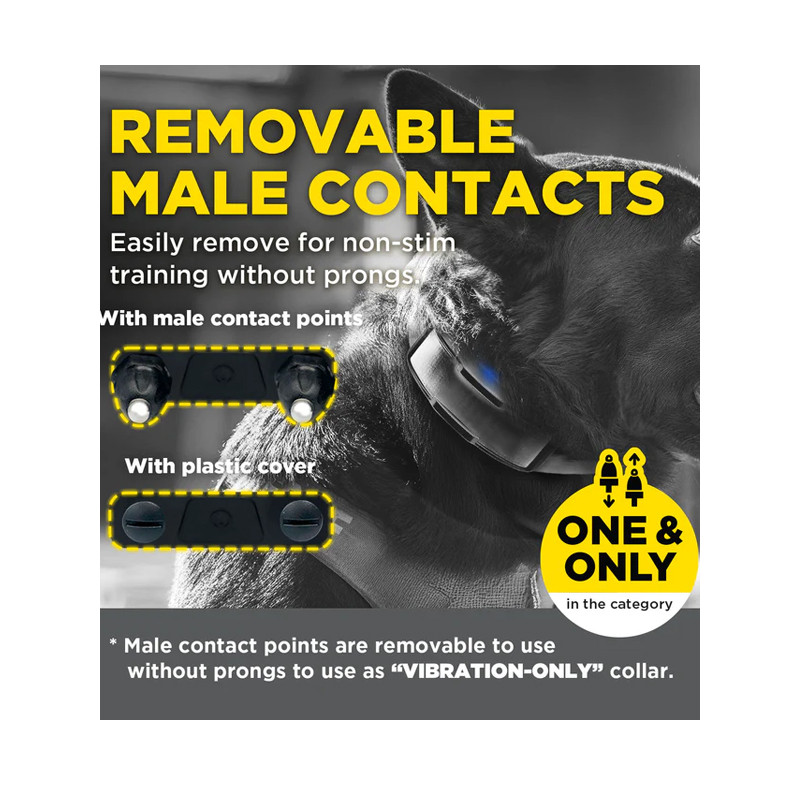 Pack de dressage 1200X Black Edition 1 chien Dogtra